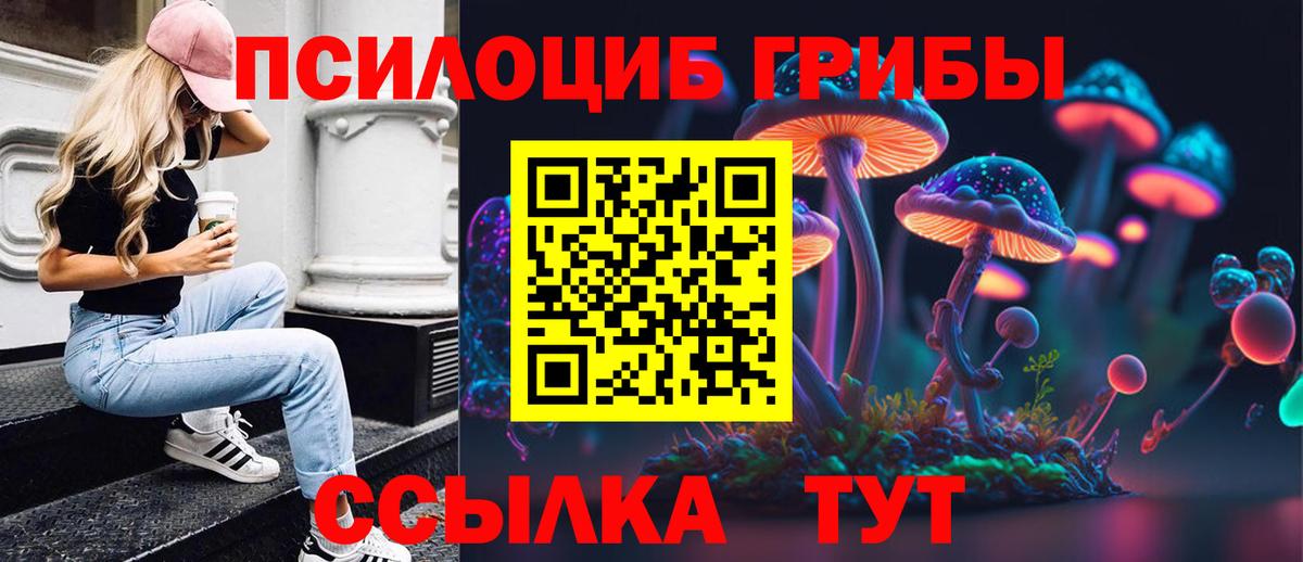 Псилоцибиновые грибы Magic Shrooms  наркошоп  Ипатово  Вход с VPN 