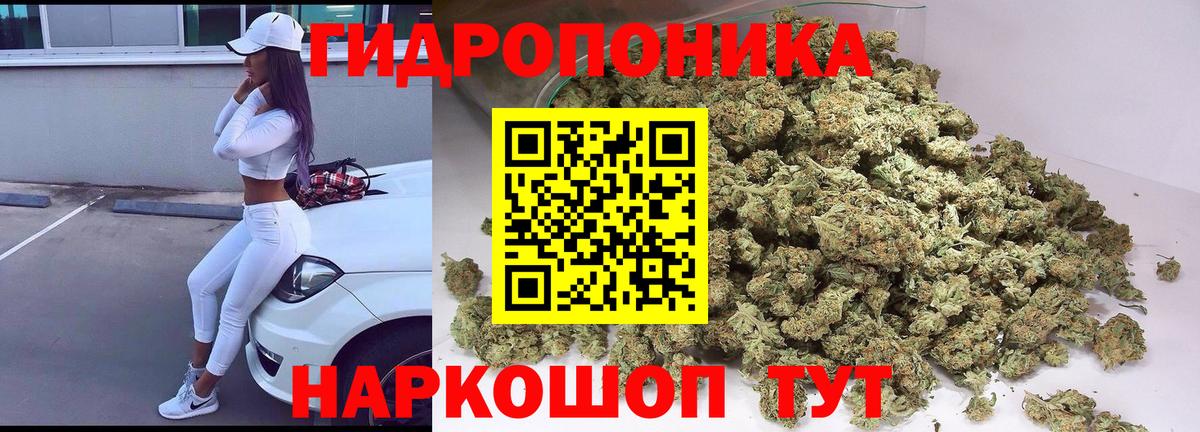 Канабис MAZAR Ипатово